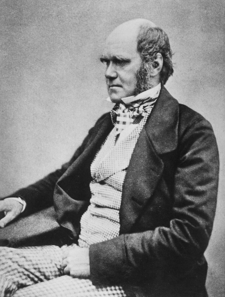 Three quarter length studio photo showing Darwin's characteristic large forehead and bushy eyebrows with deep set eyes, pug nose and mouth set in a determined look. 