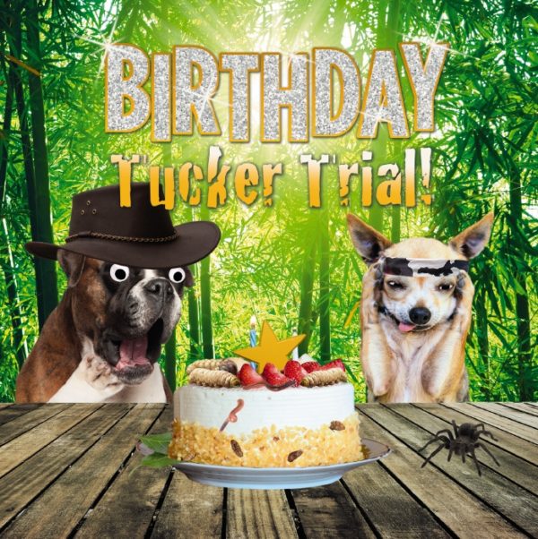 Birthday Tucker Trial