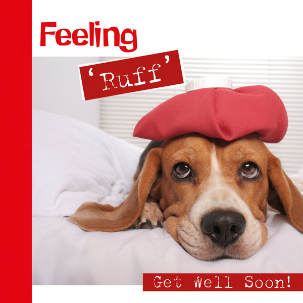 Feeling Ruff