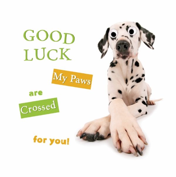 Paws are Crossed