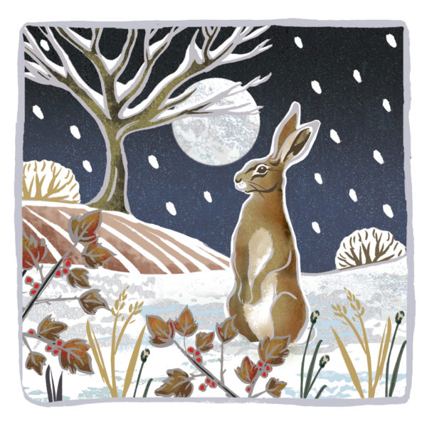 Hare by Moonlight