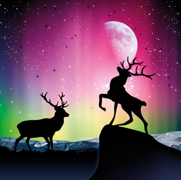 Northern Lights Deer