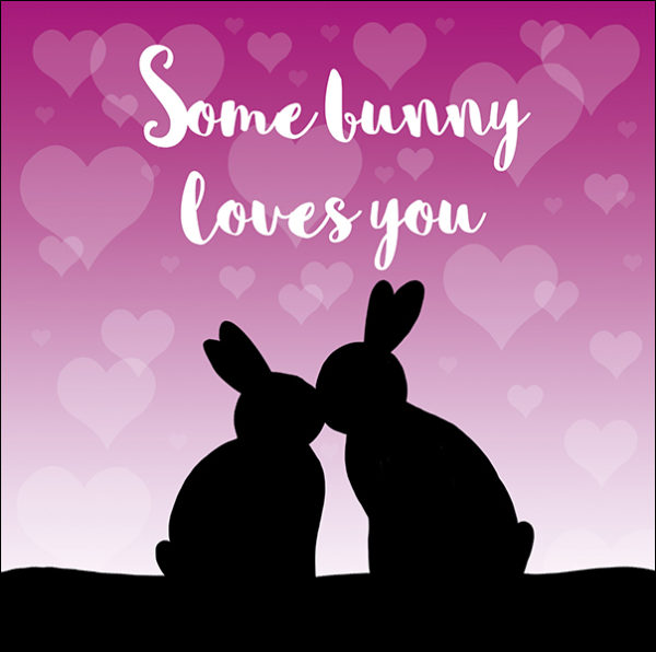 Some Bunny Loves You