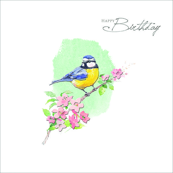 Blue Tit Birthday