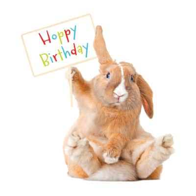Bunny Happy Birthday