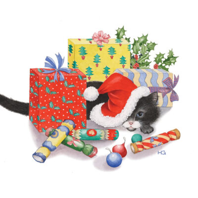 Cat and Presents