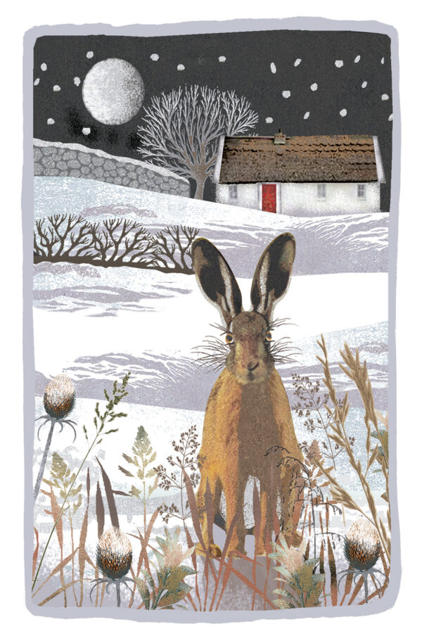 Midnight Hare