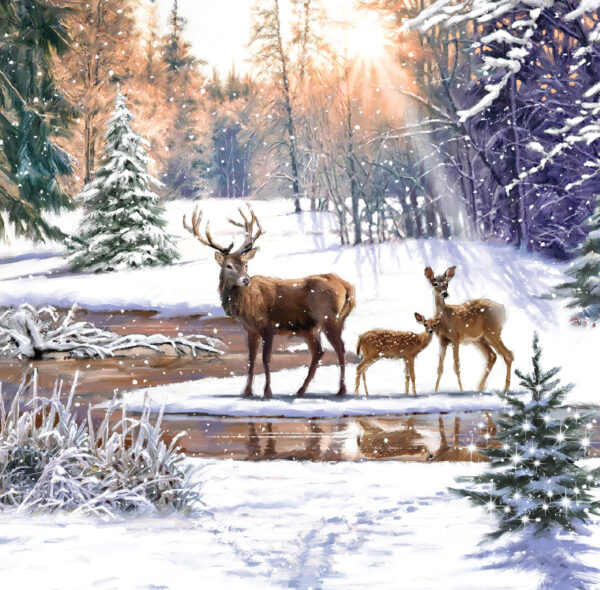 Forest Winter Wonderland