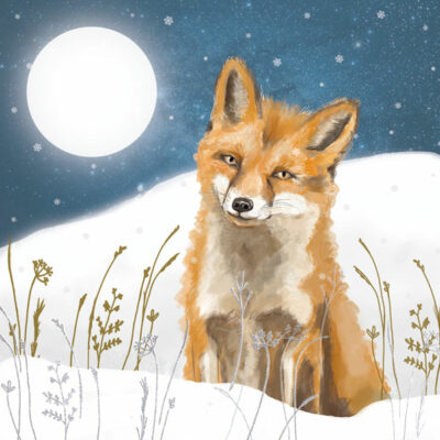 Moonlit Fox