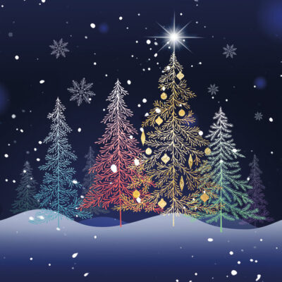 Colourful Christmas Trees