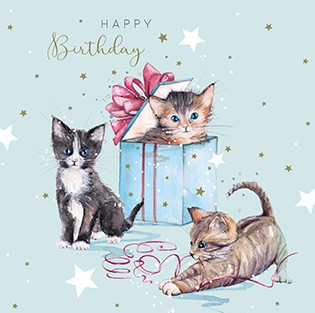 Birthday Kittens