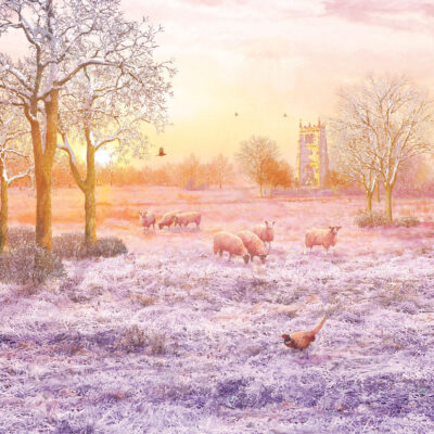 Winter Sunrise