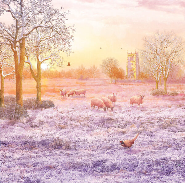 Winter Sunrise