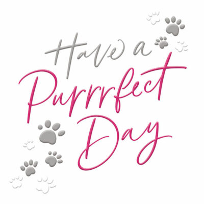 Have a Purrfect Day