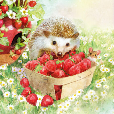 Hedgehog and strawberries