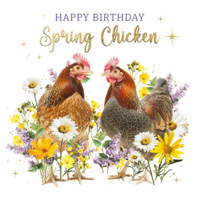 Spring Chicken
