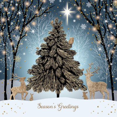 Sparkly Woodland