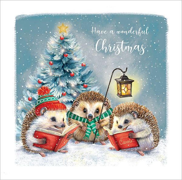 Festive Hedgehogs